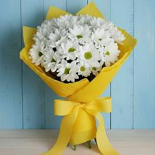 Букет цветов из:  Хризантемы в Ногинске