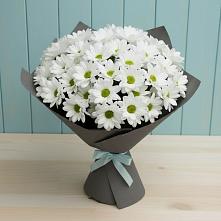Букет цветов из:  Хризантемы #REPLACE_PRED# Ногинске