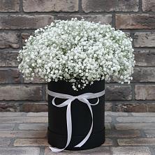 Цветочная композиция из Гипсофила в шляпной коробке в Ногинске
